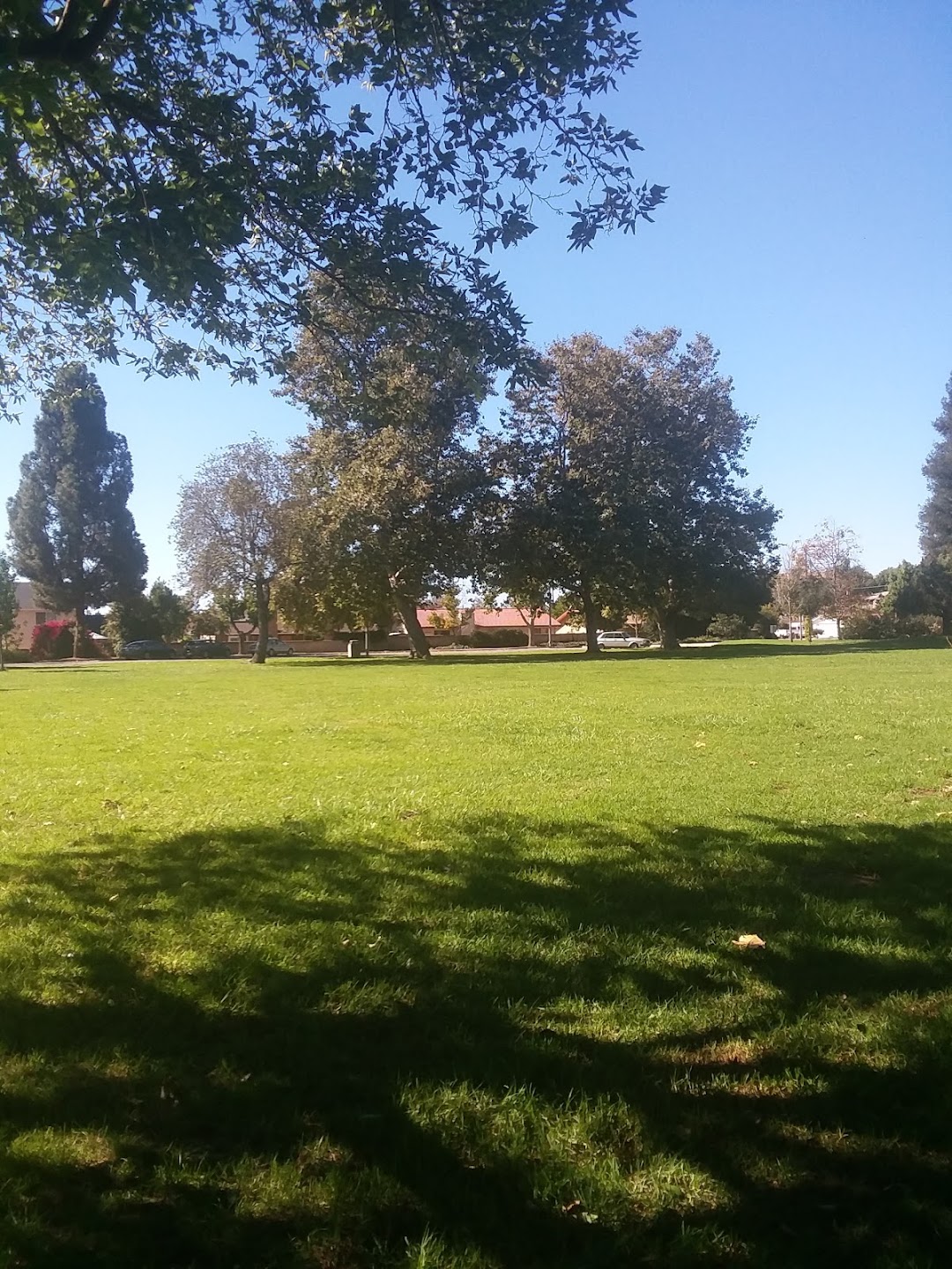 Strother Park