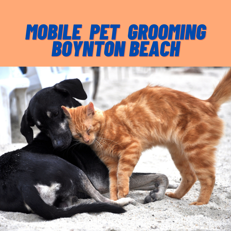 Mobile Pet Grooming Boynton Beach