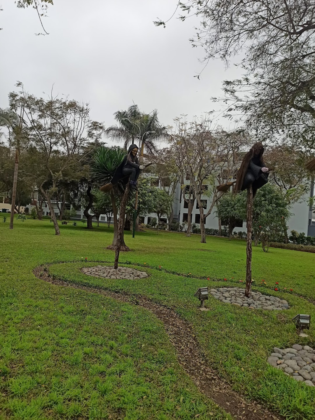 Parque Jacaranda