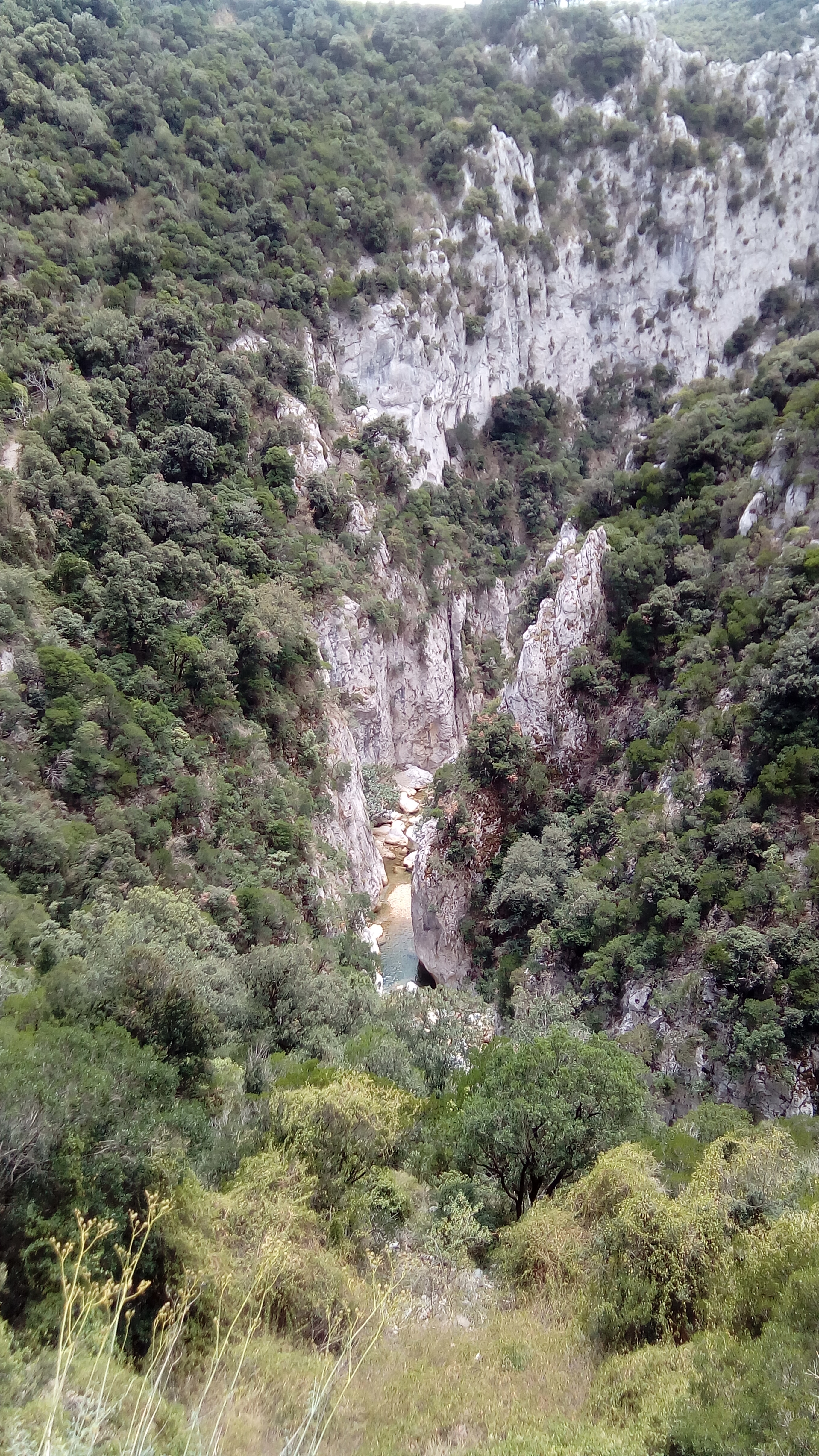 Photo n° 4 de l'avis de Patrice.o fait le 12/07/2020 à 11:24