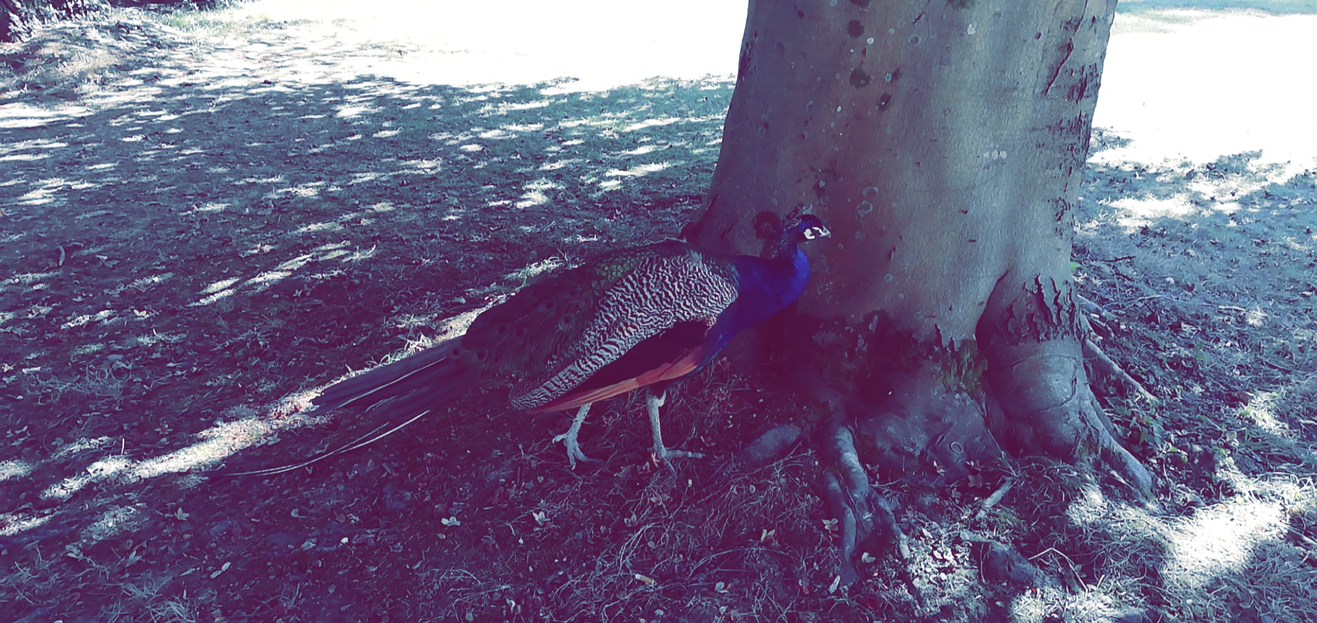 Photo n° 4 de l'avis de Jay.. fait le 07/09/2018 à 11:57