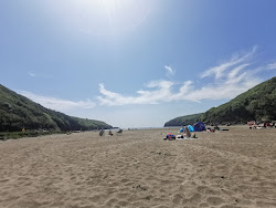 Photo de Stradbally Cove Beach et le règlement