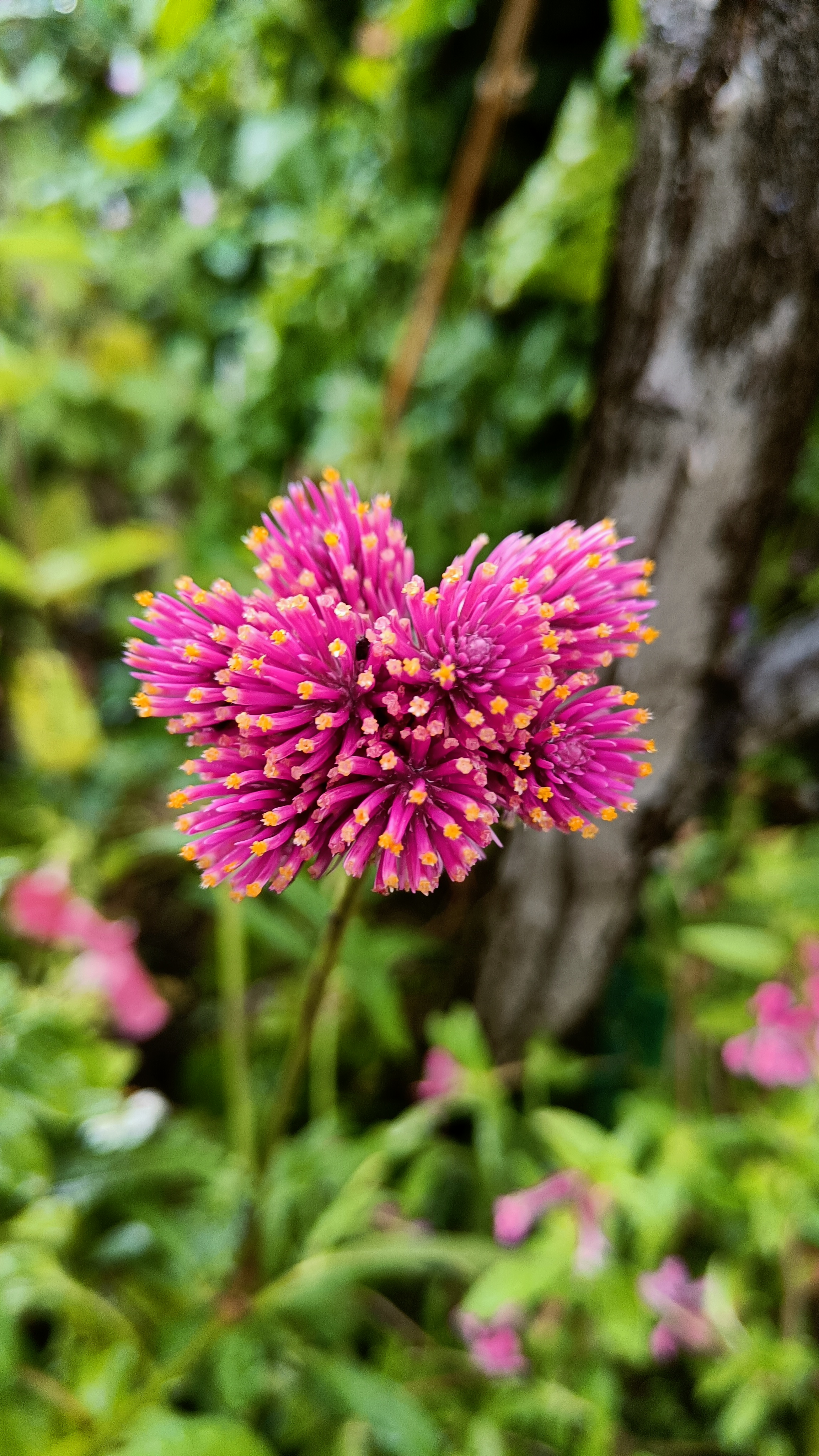 Photo n° 11 de l'avis de Eliot.o fait le 28/07/2023 à 16:35