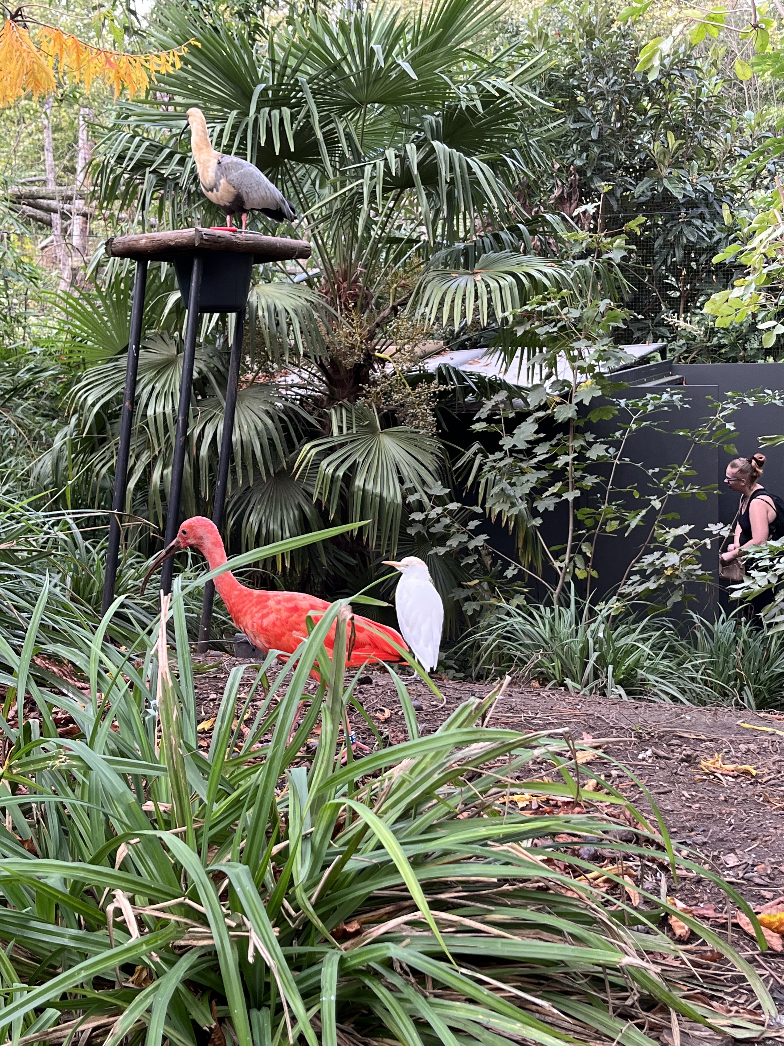 Photo n° 2 de l'avis de Célia.� fait le 07/11/2022 à 16:52