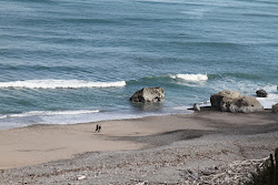 Zdjęcie Mokihinui Beach z powierzchnią turkusowa woda