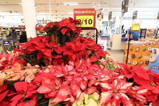 Grocery Store «Food Lion», reviews and photos, 2060 Yellow Springs Rd, Frederick, MD 21702, USA