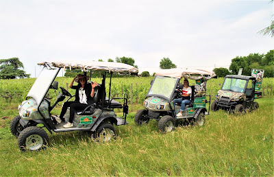 Eco-excursions visite du vignoble de St Émilion à Saint-Émilion