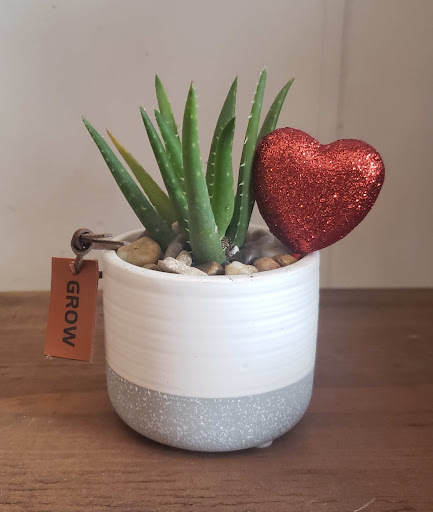 Florist «Westerville Florist», reviews and photos, 14 S State St, Westerville, OH 43081, USA