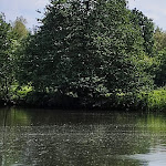 Photo n°21 de l'avis de ANDRE'.r fait le 02/02/2022 à 20:48 sur le  MY-BED Hamburg à Hamburg