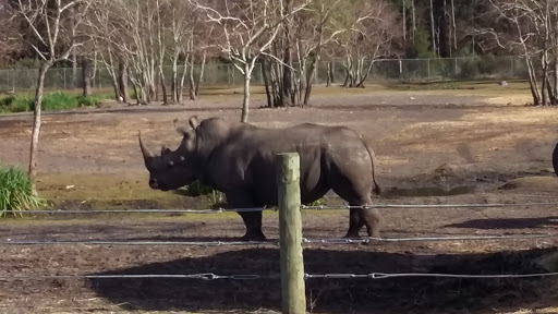 Zoo «Gulf Breeze Zoo», reviews and photos, 5701 Gulf Breeze Pkwy, Gulf Breeze, FL 32563, USA