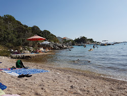 Foto von Potocnica beach - beliebter Ort unter Entspannungskennern