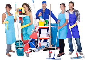 Sleeping Giant Cleaning Services