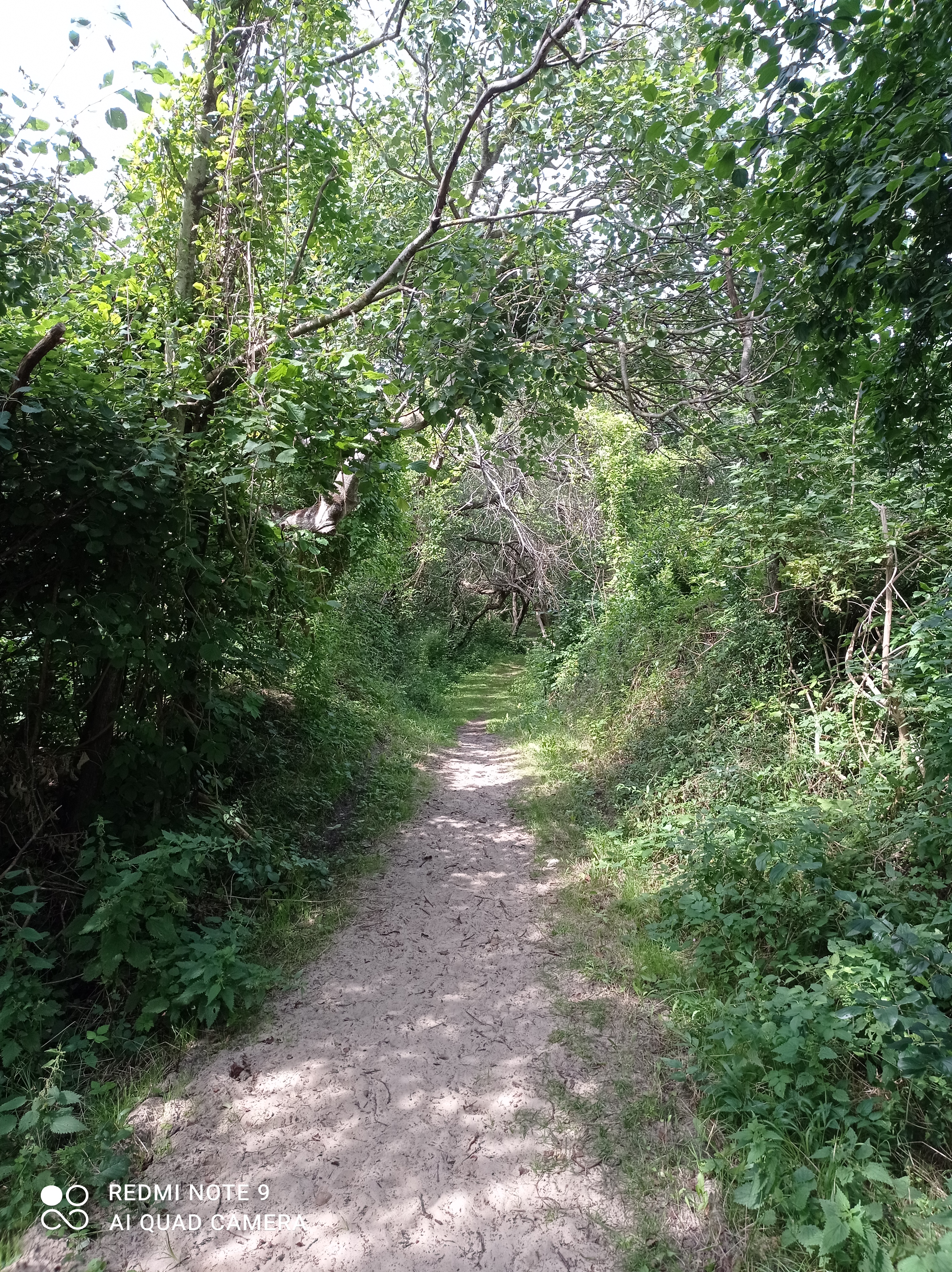 Photo n° 7 de l'avis de Michael.u fait le 15/08/2021 à 18:06