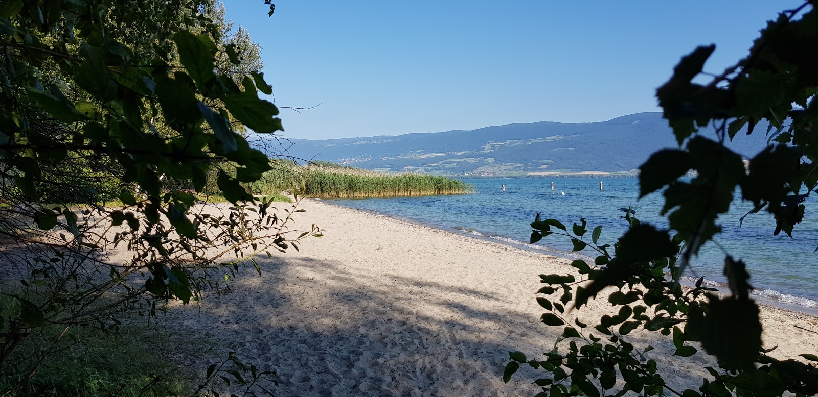 Plage de la Petite Amerique photo #8