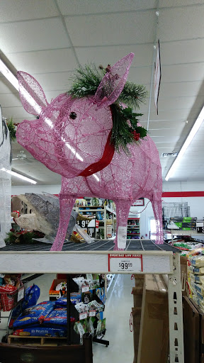 Home Improvement Store «Tractor Supply Co.», reviews and photos, 4267 13th St, St Cloud, FL 34769, USA