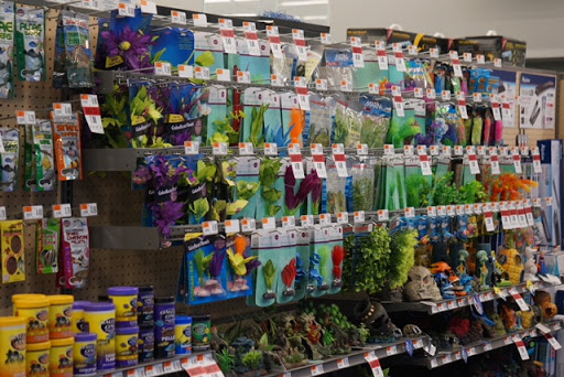 Pet Supply Store «Pet Supplies Plus», reviews and photos, 21703 Village Lakes Shopping Center Dr, Land O Lakes, FL 34639, USA