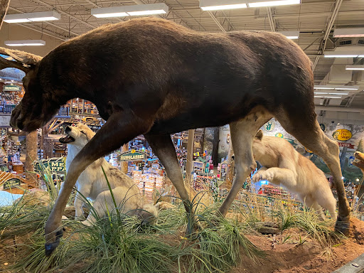 Sporting Goods Store «Bass Pro Shops», reviews and photos, 6425 Daniel Burnham Dr, Portage, IN 46368, USA