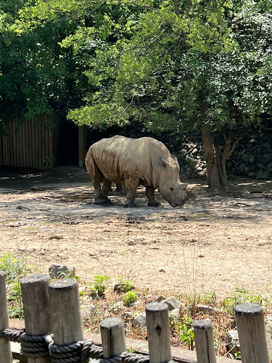 Community Center «McFarland Community Center», reviews and photos, 4955 Cottonwood Rd, Memphis, TN 38118, USA