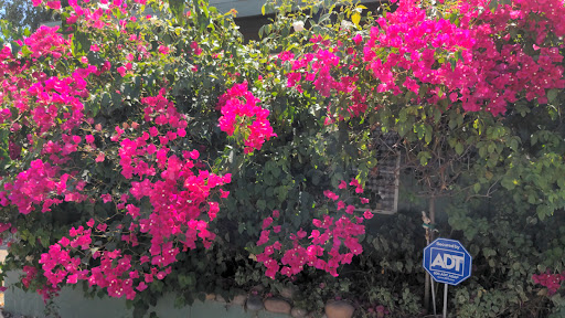 Florist «Sequoia Flowers Produce & More», reviews and photos, 20940 Ave 296, Exeter, CA 93221, USA