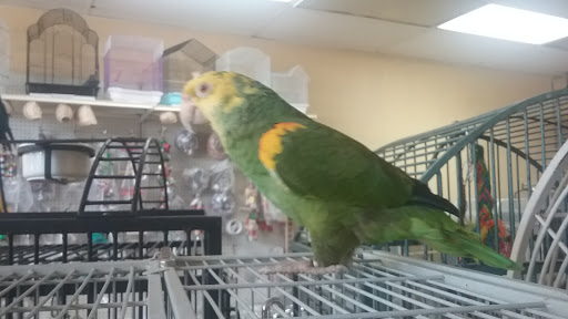 Pet Store «Louis Birds Pets & Supplies», reviews and photos, 80 Keyes St, San Jose, CA 95122, USA