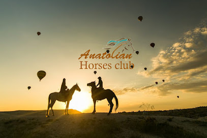 Anatolian Horses - Cappadocia Horse Riding