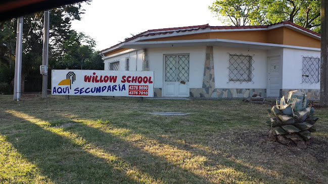 Willow School - Escuela