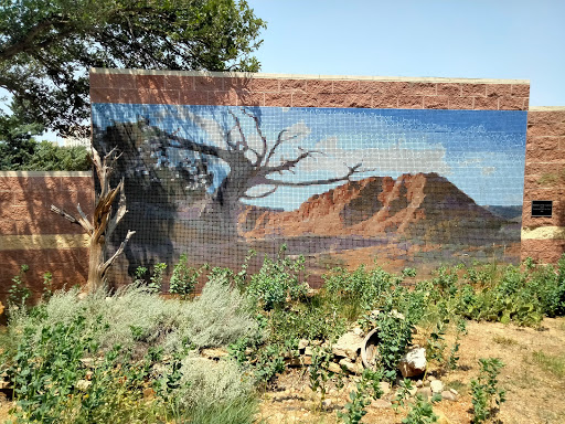 Amarillo Botanical Gardens image 4