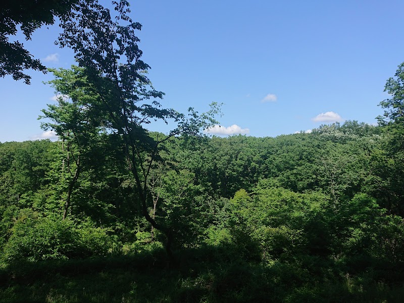 都立東大和公園 東京都東大和市湖畔 公園 公園 グルコミ