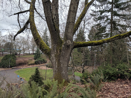 Park «Creston Park», reviews and photos, SE 44th Ave & Powell Blvd, Portland, OR 97206, USA
