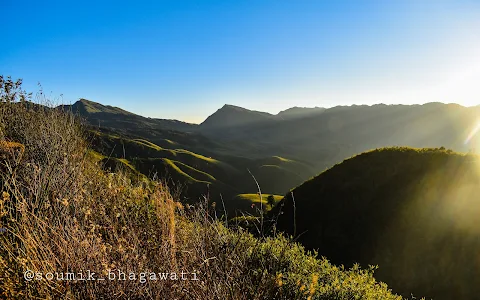 Dzükou Valley, Nagaland image