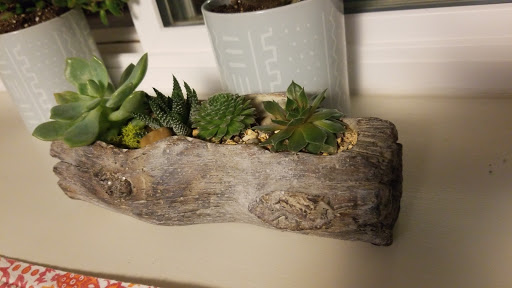 Florist «Blossoms Flower Shop», reviews and photos, 147 E Sailer Dr, San Mateo, CA 94403, USA