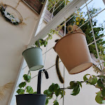 Photo n°9 de l'avis de Gianni.i fait le 01/11/2021 à 13:14 sur le  Hygge_dolce_quotidiano à Bisceglie