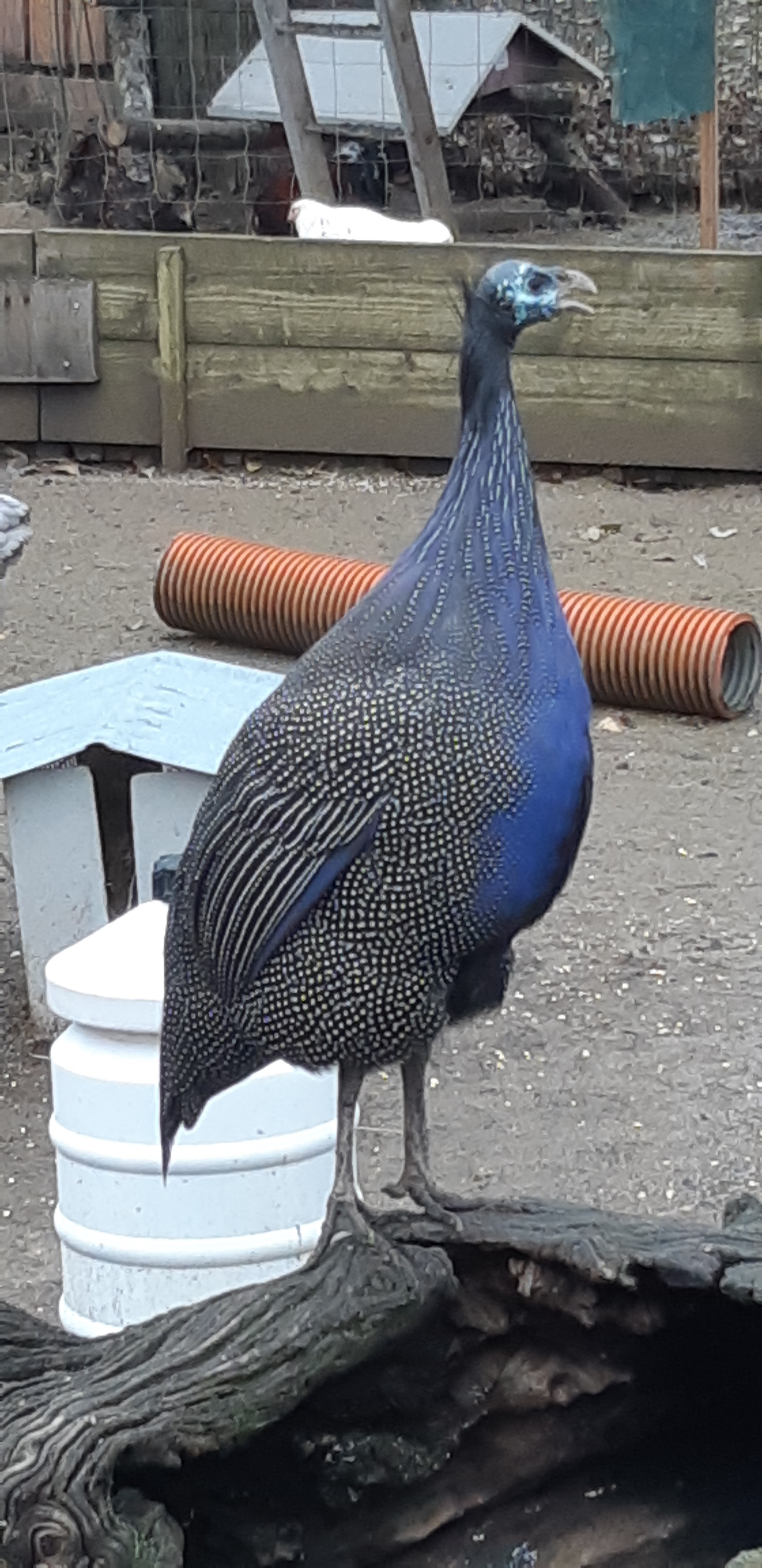 Photo n° 31 de l'avis de Yannick.a fait le 27/10/2019 à 14:17