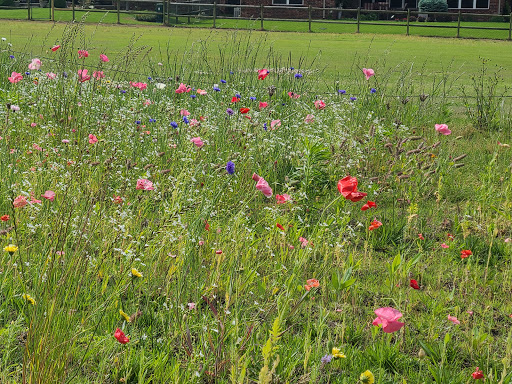 Public Golf Course «Battle Creek Golf Club», reviews and photos, 3200 North Battlecreek Dr W, Broken Arrow, OK 74012, USA