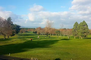 Limerick Golf Club (Cúrsa Gailf Luimnigh) image