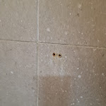 Photo n°3 de l'avis de Pablo.� fait le 25/09/2023 à 17:03 sur le  Ca' Doge - Alloggi turistici à Venice