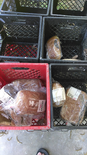 Children’s Network/Eats Foundation