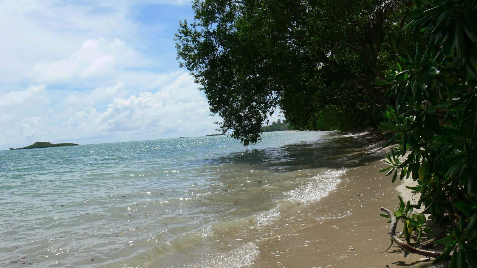 Foto van Poingam Beach gelegen in een natuurlijk gebied