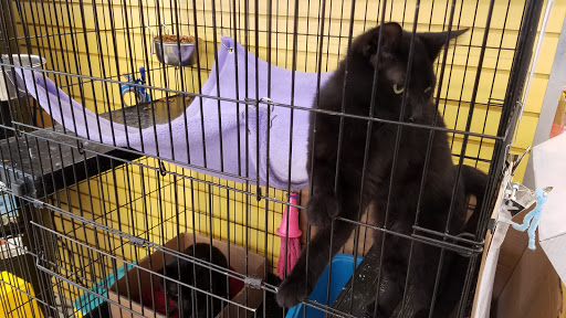 Pet Supply Store «Pet Supplies Plus», reviews and photos, 1377 N 21st St, Newark, OH 43055, USA