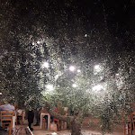 Photo n°5 de l'avis de Anna.a fait le 01/09/2018 à 15:08 sur le  Terra degli Ulivi Restaurant à Otranto