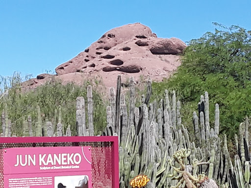 Botanical Garden «Desert Botanical Garden», reviews and photos, 1201 N Galvin Pkwy, Phoenix, AZ 85008, USA
