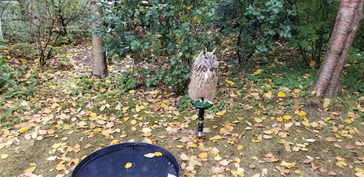 Museum «Vancouver Water Resources Education Center», reviews and photos, 4600 SE Columbia Way, Vancouver, WA 98661, USA