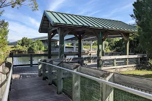 Withlacoochee Bay Trail image