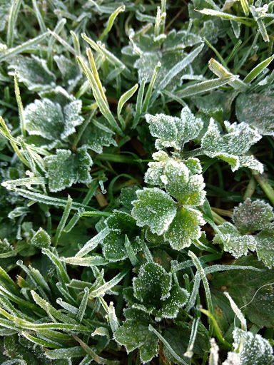 Park «Autumn Ridge Park», reviews and photos, NW Fieldstone Dr, Beaverton, OR 97006, USA