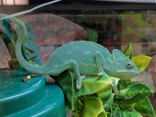 Pet Supply Store «Petco Animal Supplies», reviews and photos, 110 Percival Rd, Columbia, SC 29206, USA