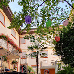 Photo n°1 de l'avis de Frank.i fait le 28/08/2022 à 19:32 sur le  Anika à Neuenburg am Rhein