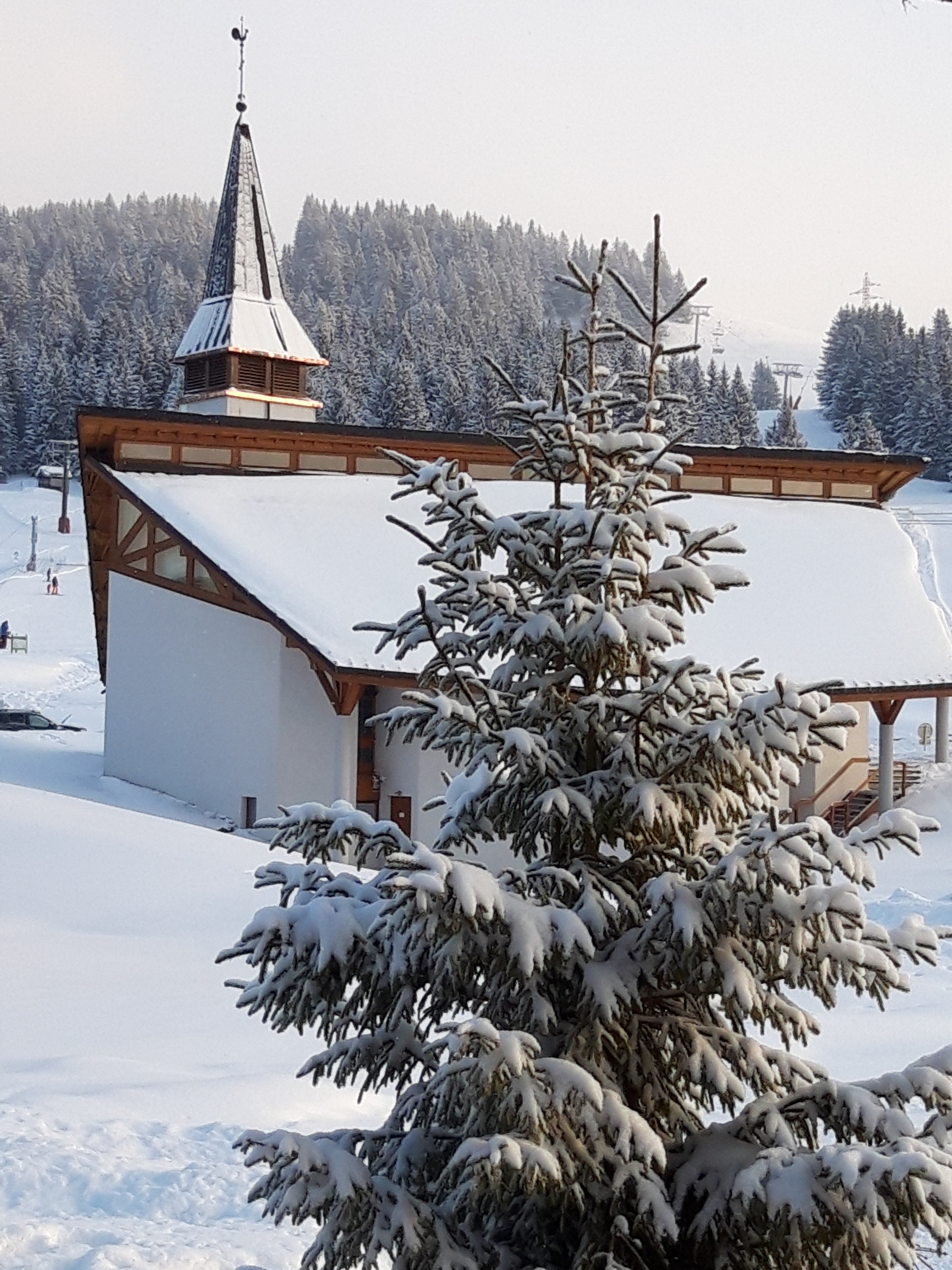Photo n° 1 de l'avis de Marie.a fait le 24/01/2019 à 20:37