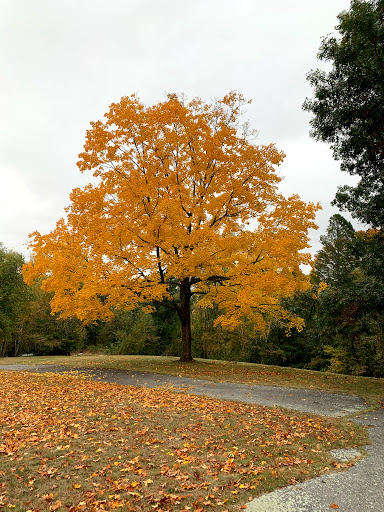 Park «Rogers Fort Hill Park», reviews and photos, 53 Park Ave E, Lowell, MA 01852, USA