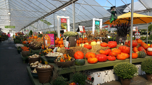 Garden Center «Pike Nurseries», reviews and photos, 6050 Bethelview Rd, Cumming, GA 30040, USA