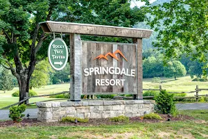 Springdale Resort image